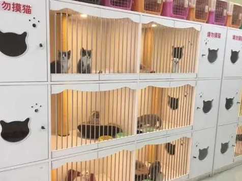 养宠物狗的成本需要多少？