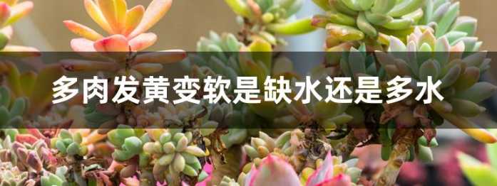 微信截图_20221202170817.png