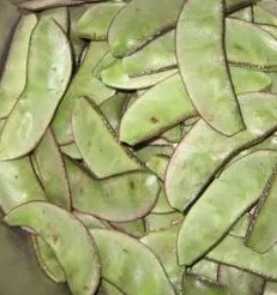 梅豆角什么季节开花？