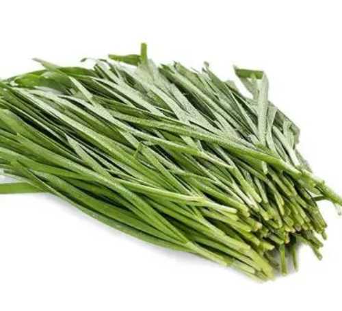 韭菜在什么季节开花？