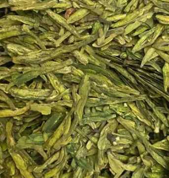 龙井什么季节开花的？