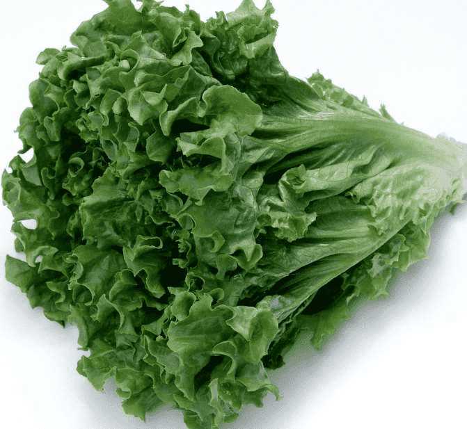 生菜.png